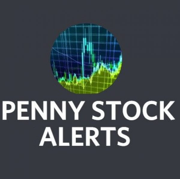 Penny stock alerts discord