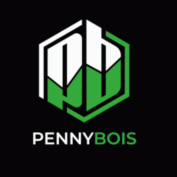 Pennybois discord overview